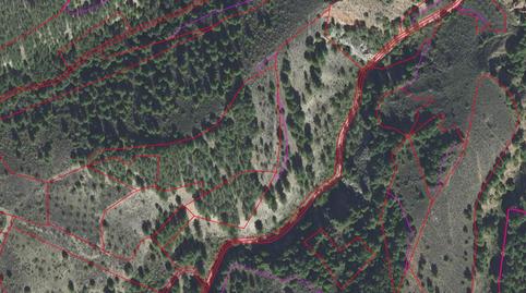 Foto 2 de Terreny en venda a Extramuros, Montón, Zaragoza