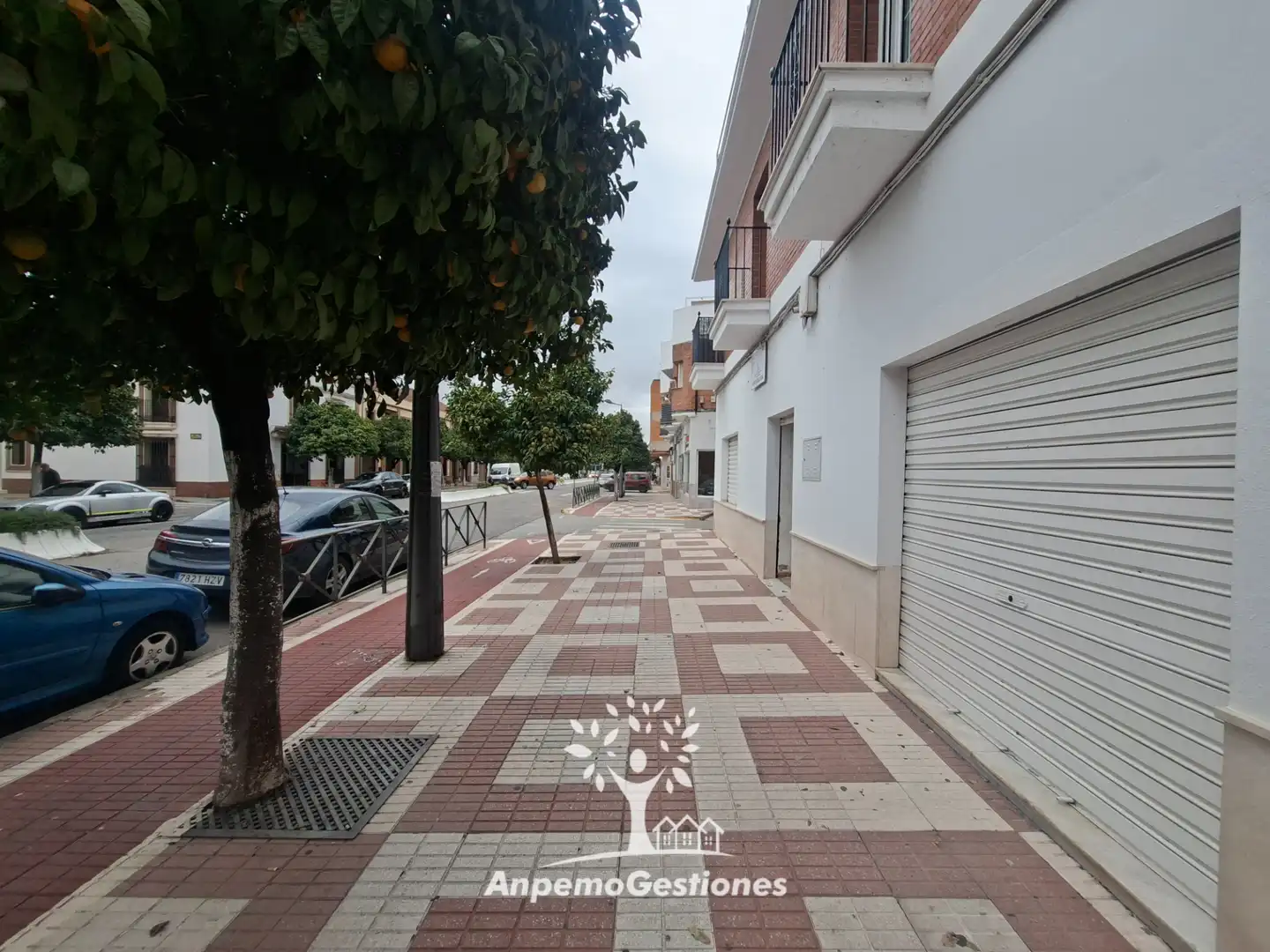 Vista exterior de Local de alquiler en Palma del Río
