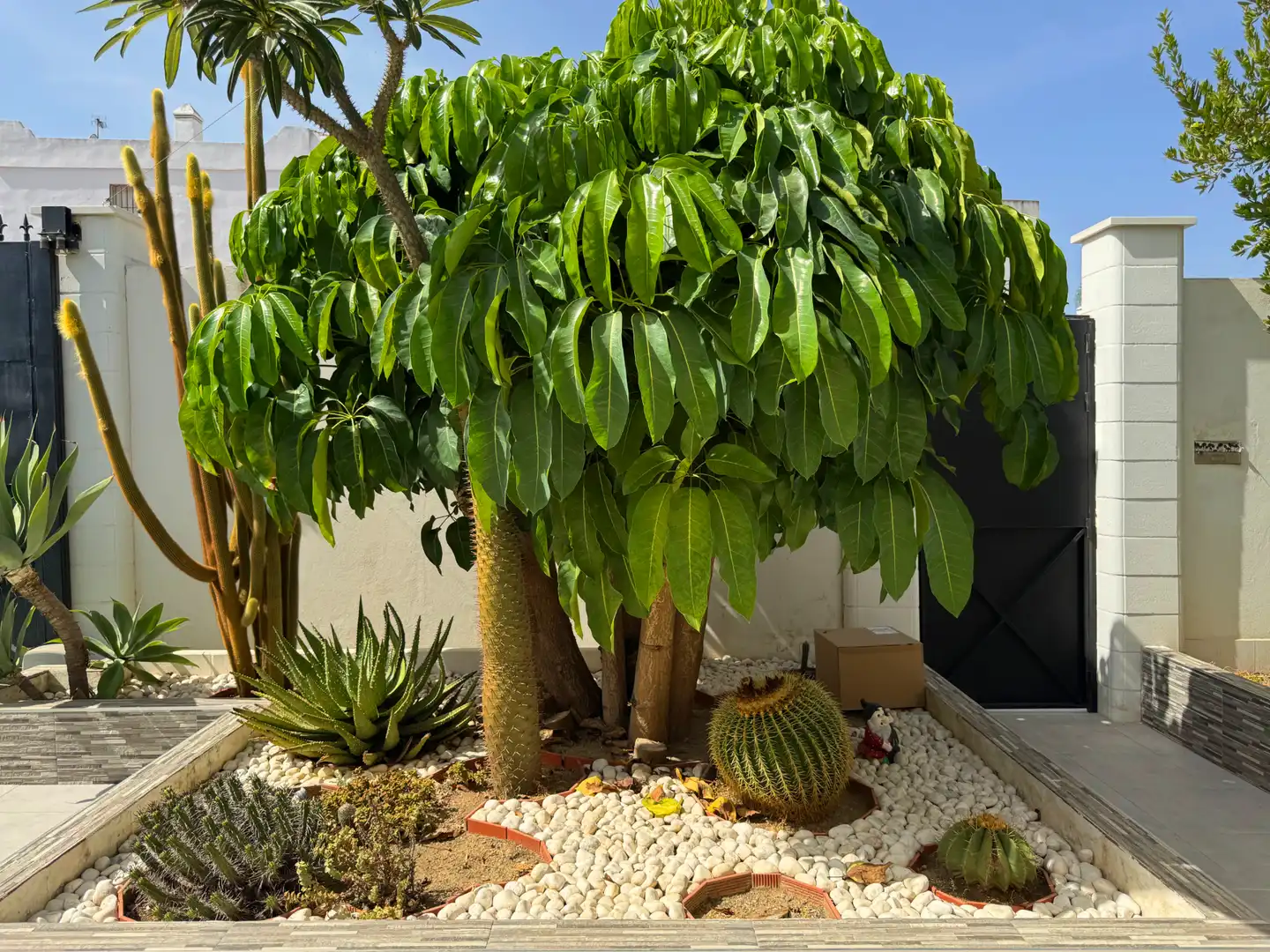 Chalet con piscina en venta en Capellanía - Retamar, imagen 7