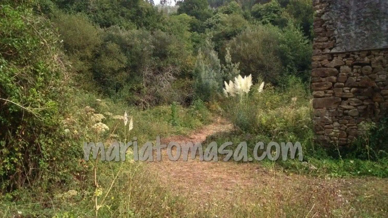 Residencial en venta en Busturia