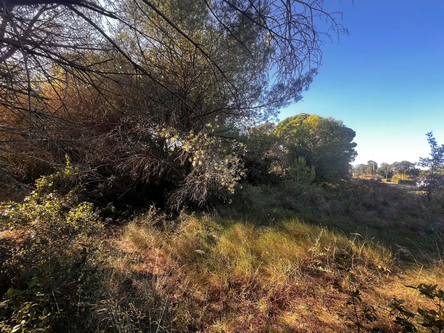 Residencial en venda en Palamós