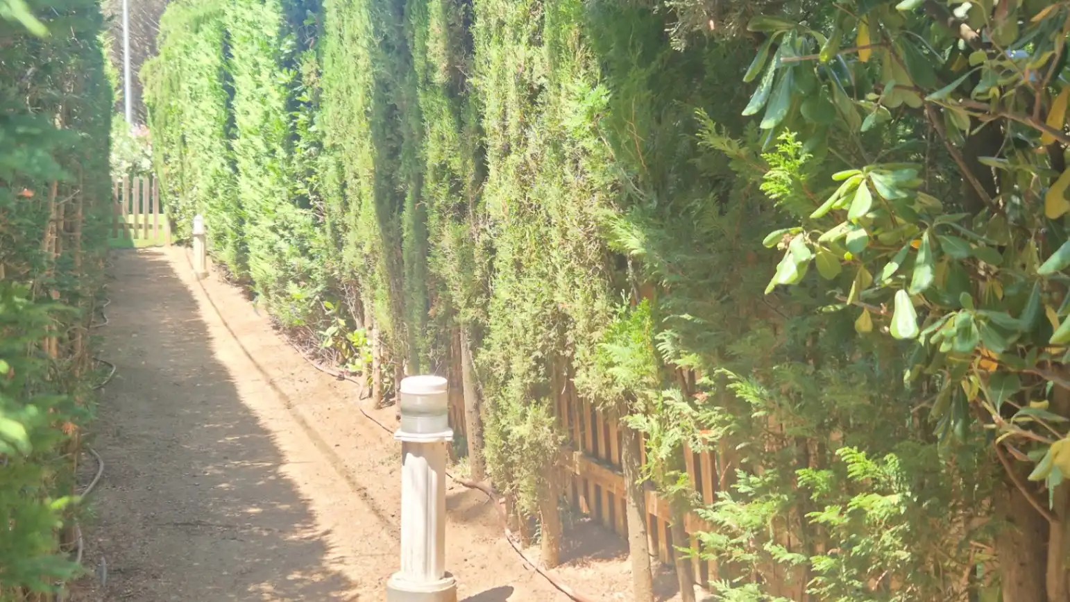 Jardí de Apartament en venda en Pals amb Calefacció, Jardí privat i Piscina