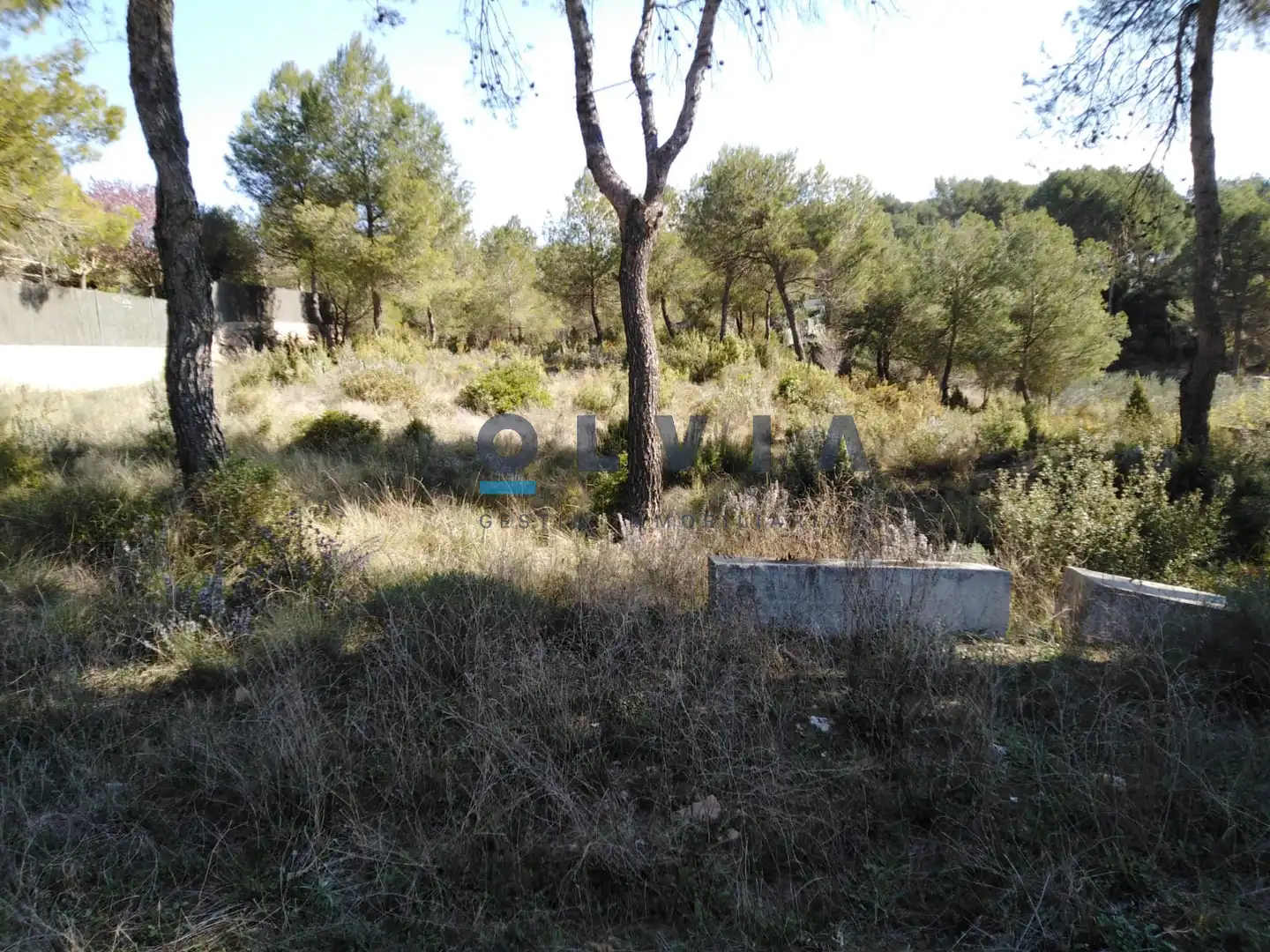 Terreny residencial en venda a Vacarisses, imagen 2