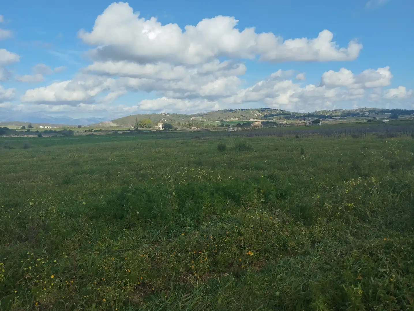 Terrain résidentiel à vendre à Algaida, imagen 3