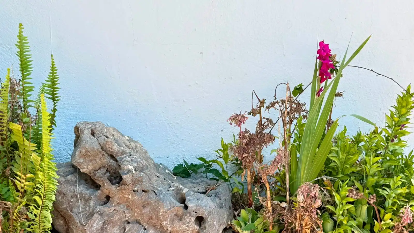 Jardí de Casa o xalet en venda en Sedella amb Aire condicionat, Jardí privat i Terrassa
