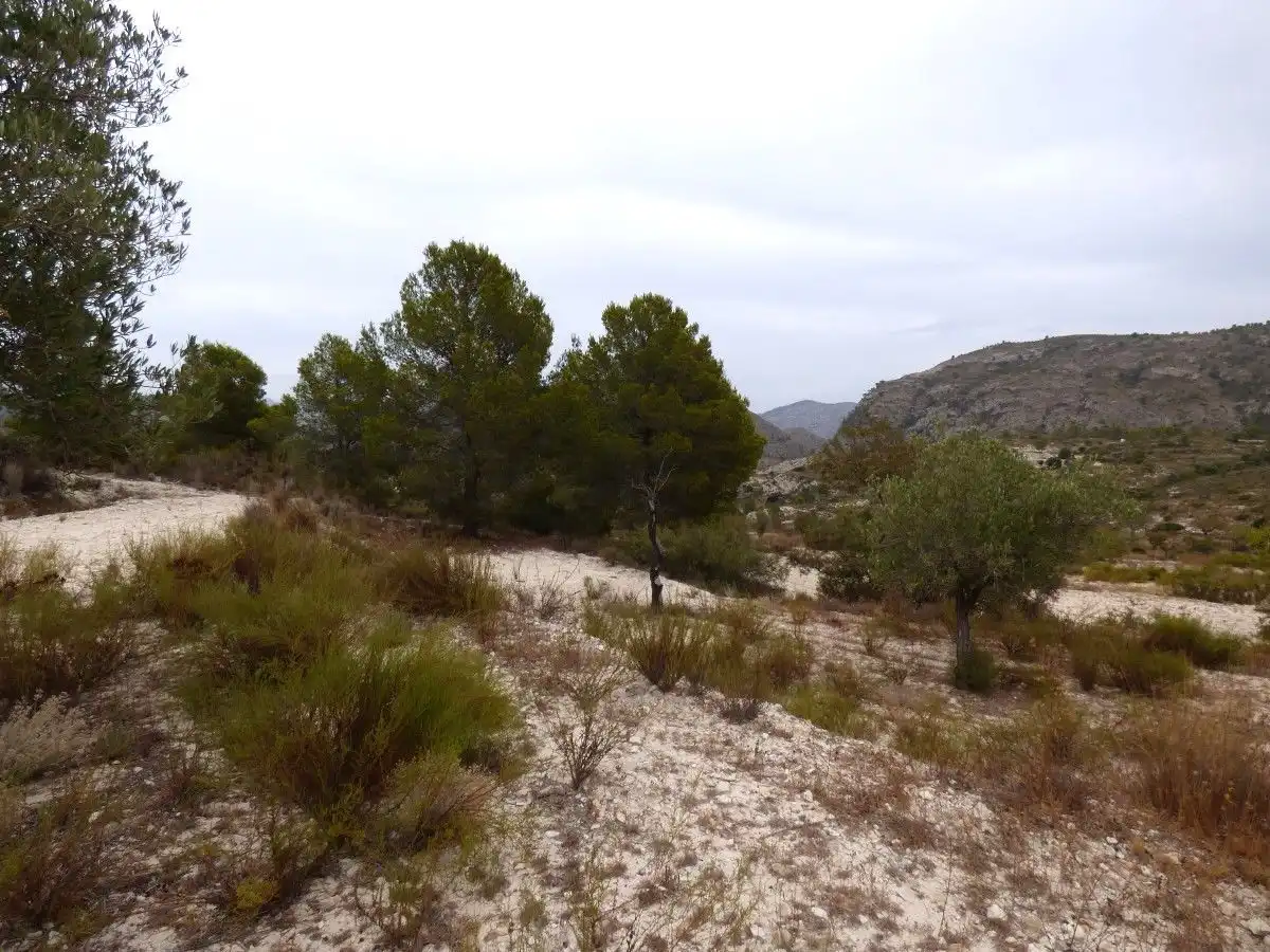 Terrenos y solares en venta en Fosamai, imagen 4