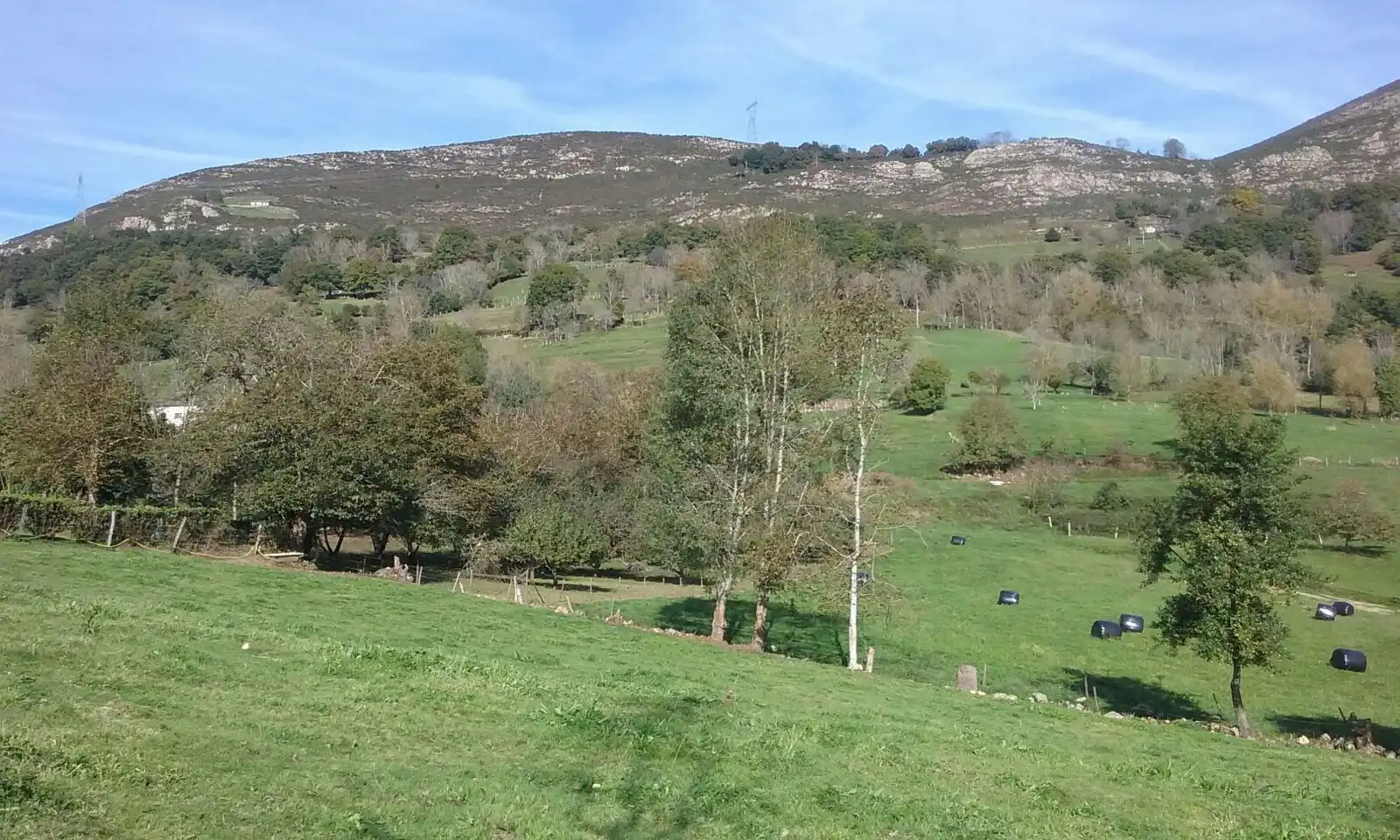 Grundstücke und Bauplätze zum Verkauf in Piloña, imagen 8