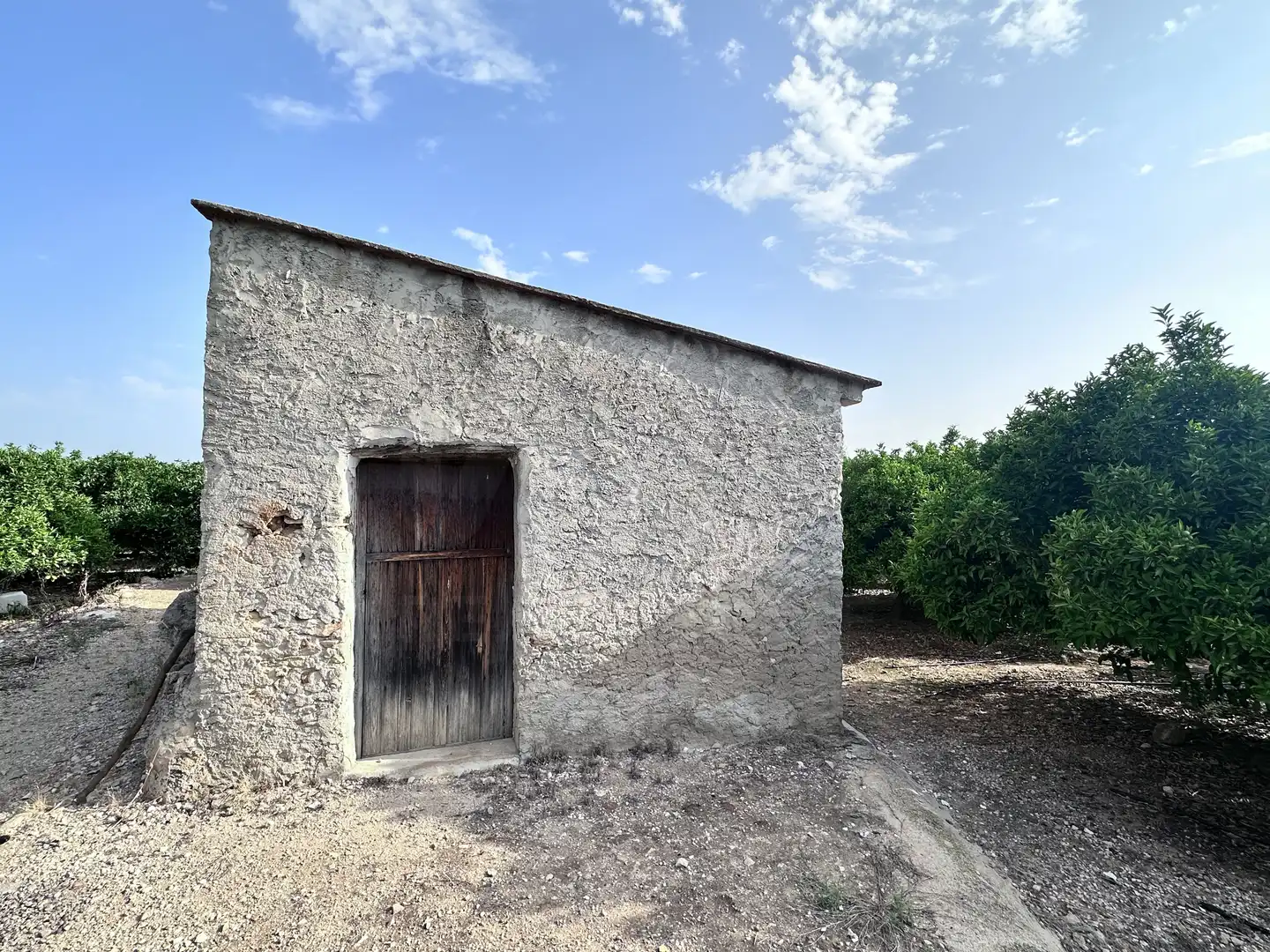 Terreno rustico in vendita a Pego, imagen 2