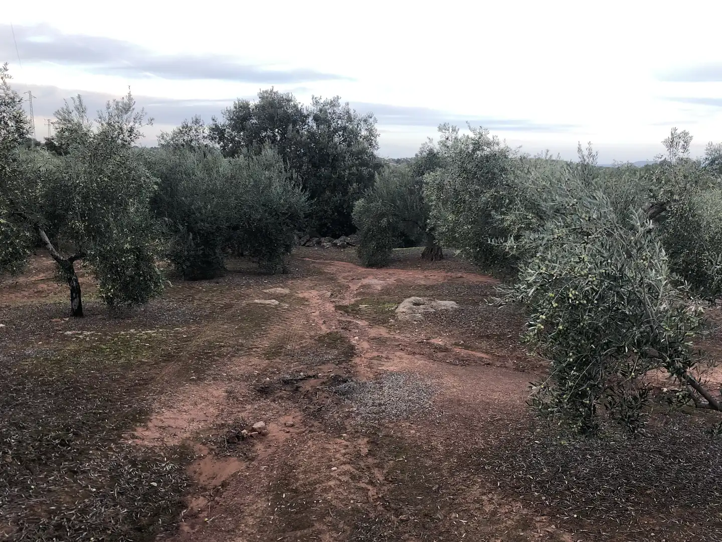 Rustikales Grundstück zum Verkauf in Montoro, imagen 10