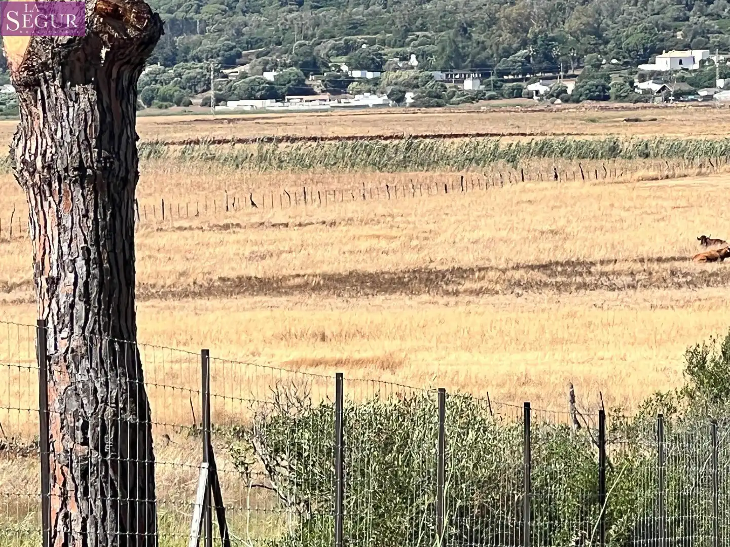 Terreno rustico in vendita a Barbate ciudad, imagen 3