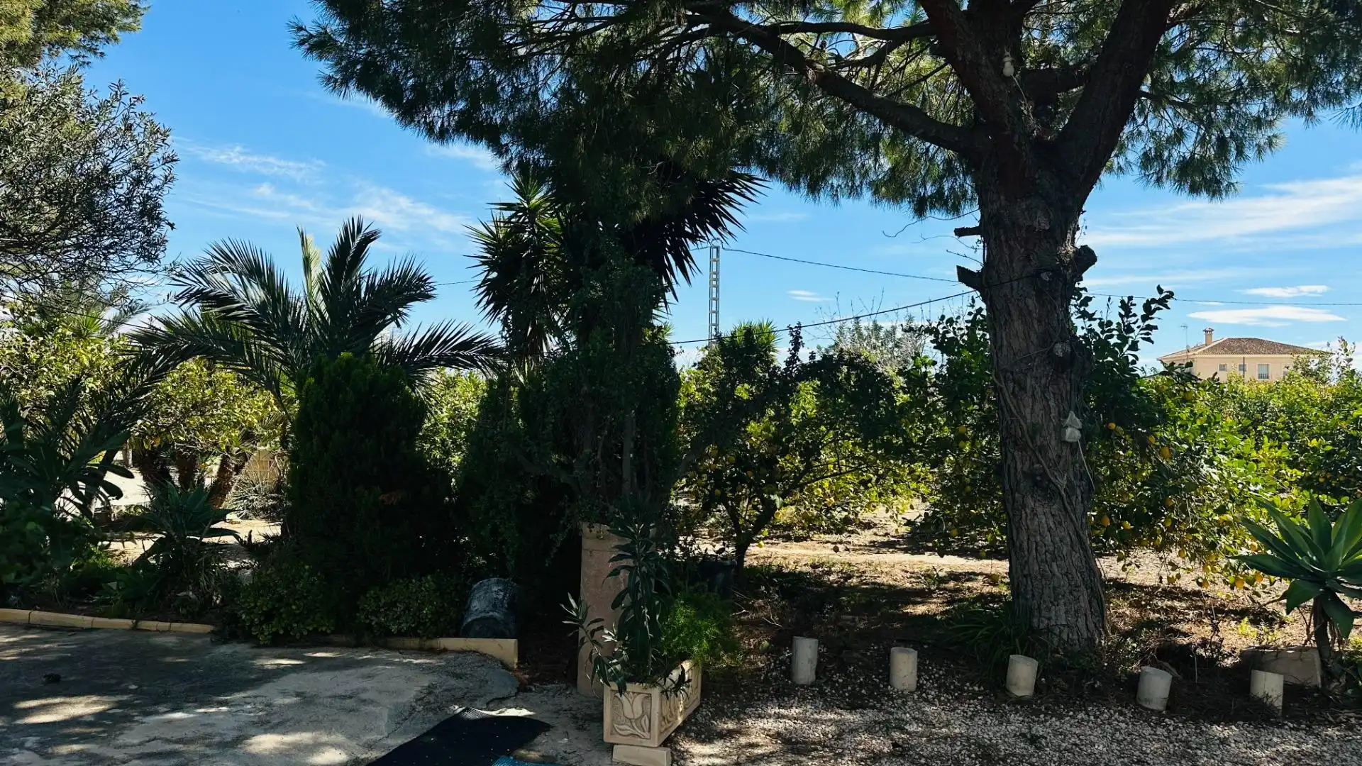 Jardí de Casa o xalet en venda en Elche / Elx amb Jardí privat, Traster i Piscina