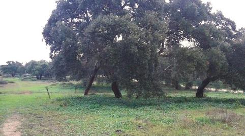 Photo 2 of Residential for sale in Pelagatos - Pago del Humo, Chiclana de la Frontera