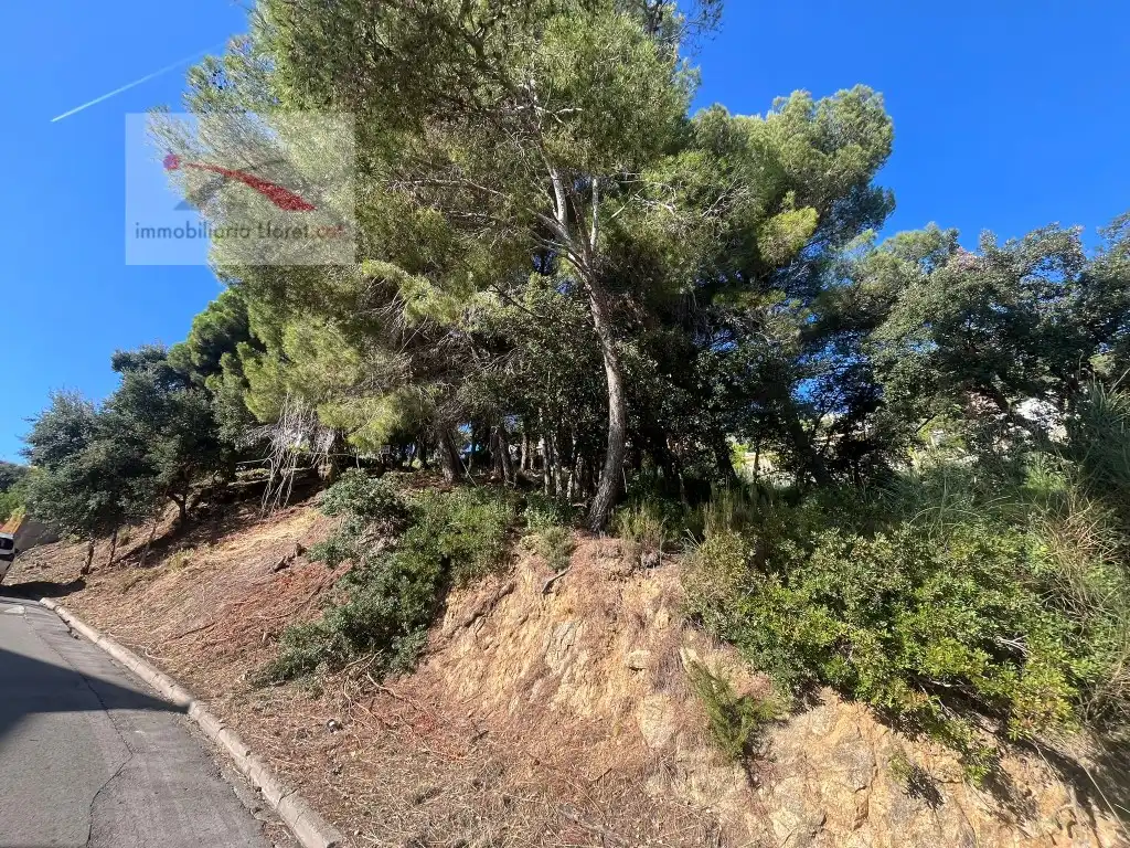 Wohnbaugrundstück zum Verkauf in Roca Grossa, imagen 3