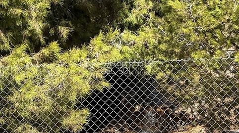 Foto 4 von Residential zum Verkauf in Caleta de Vélez, Vélez-Málaga