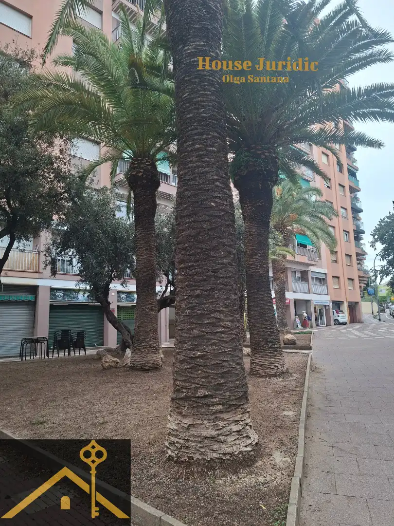 Piso con terraza en venta en Peramàs, imagen 9