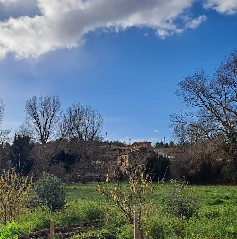 Lands and plots for sale in Carretera de Rodezno, imagen 3
