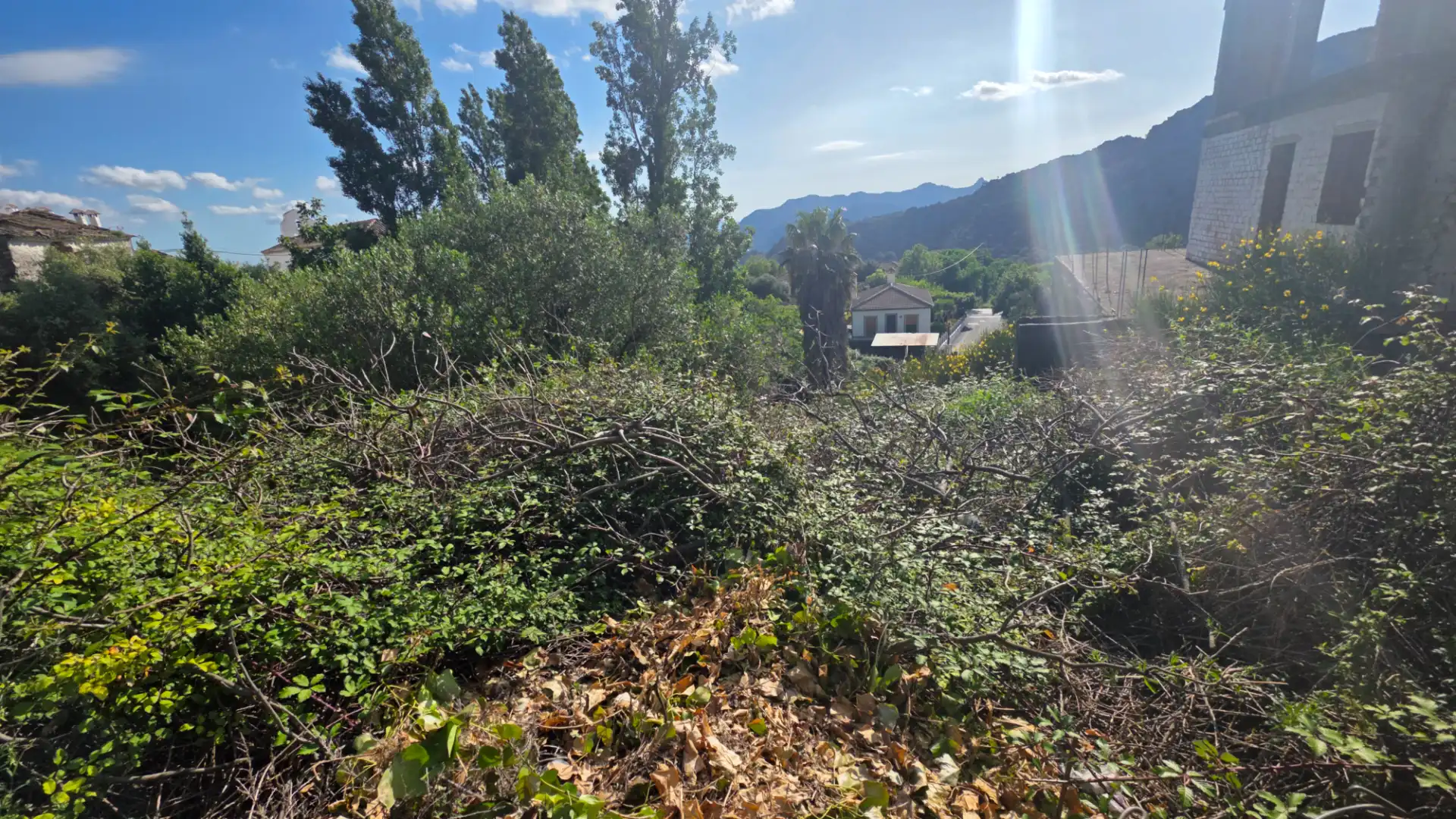 Terreni e lotti in vendita a Benaocaz, imagen 4