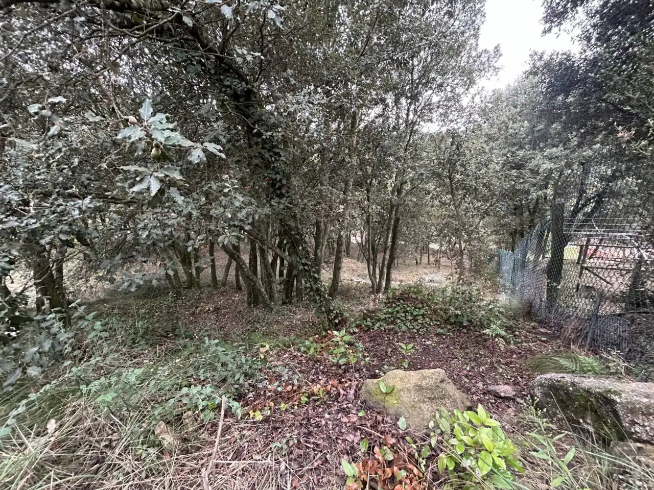 Residential land for sale in Calle de Puiglagulla 56, imagen 10