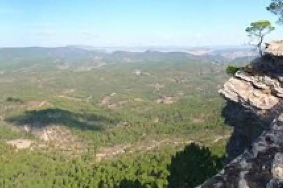 Land for sale in Cuenca