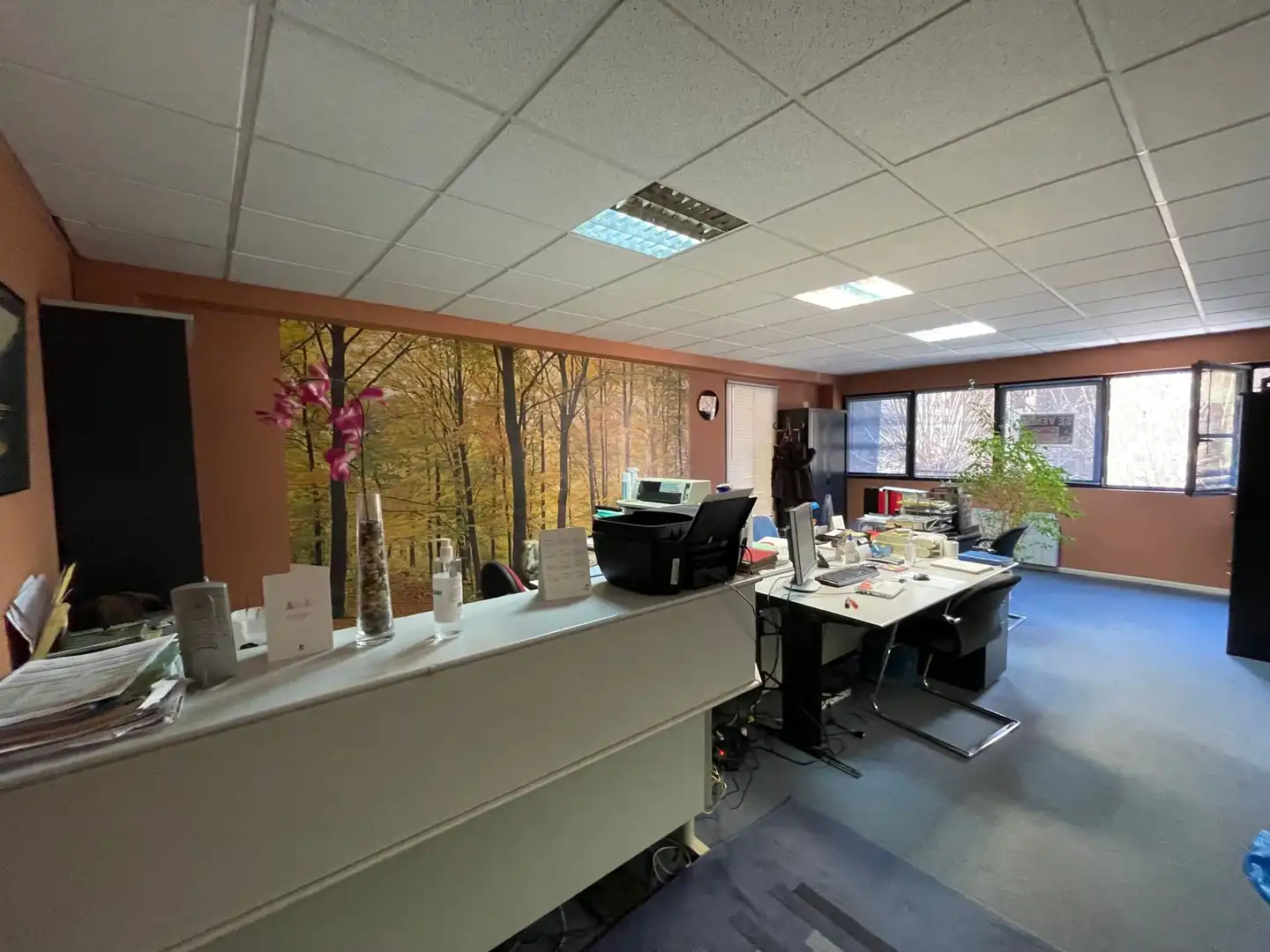 Ufficio in vendita a Lamiako - Txopoeta, imagen 3