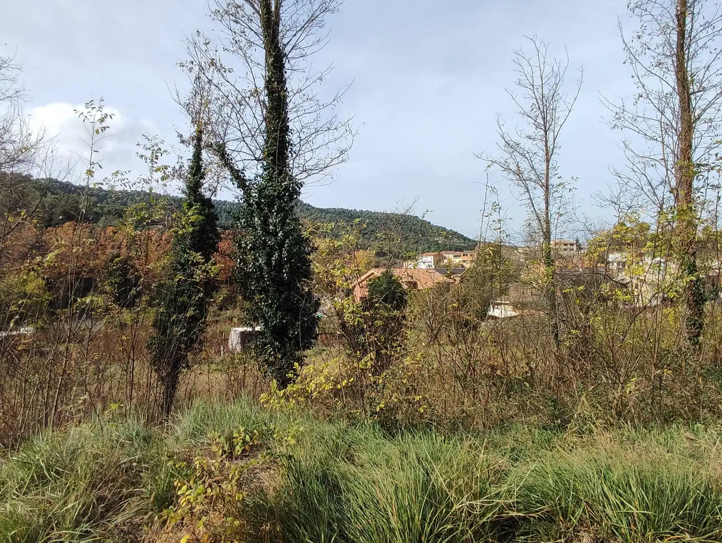 Terrain rustique à vendre à Monistrol de Calders, imagen 15
