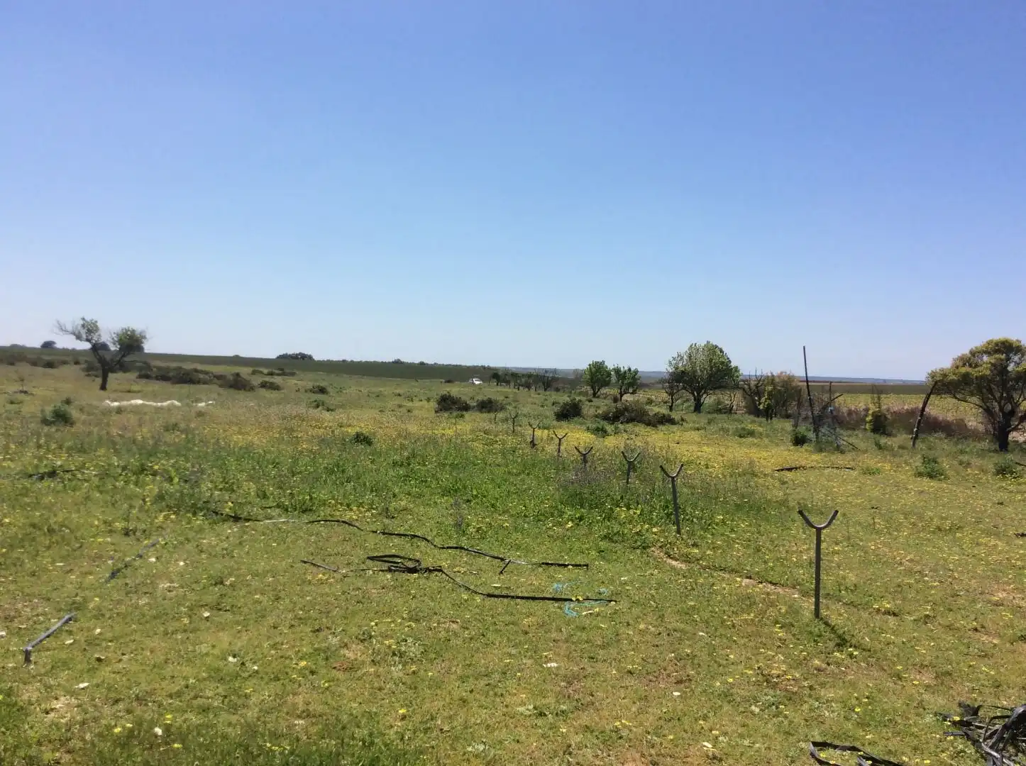 Land for sale in Almonte