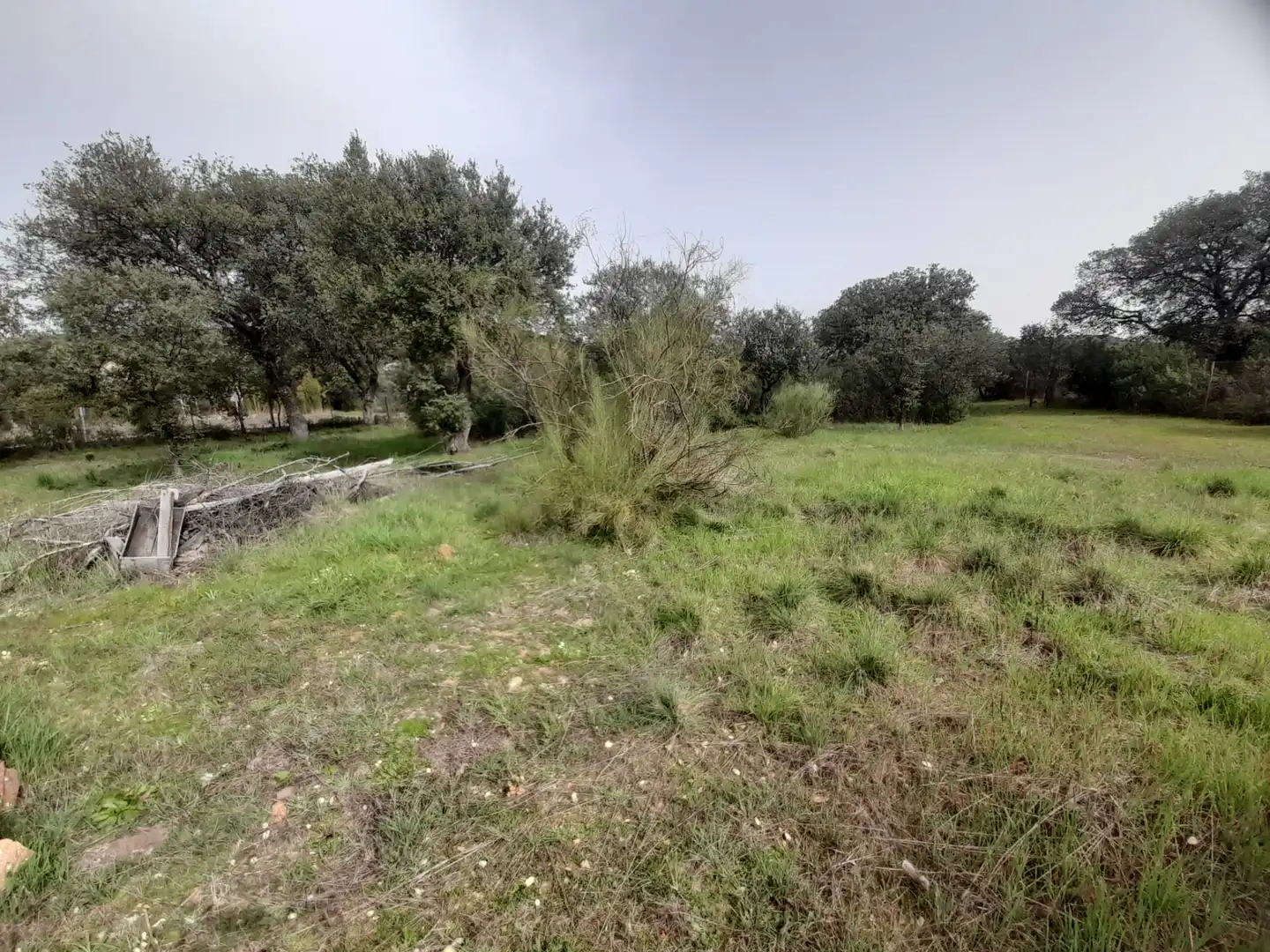 Finca rústica en venta en Brazatortas con Trastero y Piscina