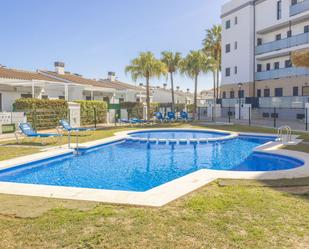 Swimming pool of Flat to rent in Oliva  with Air Conditioner and Swimming Pool