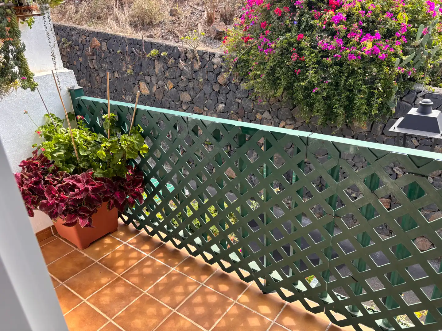 Detached homes for sale in La Laguna