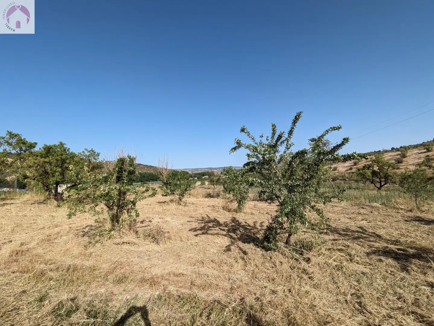 Residential land for sale in EXTRARRADIO, imagen 6