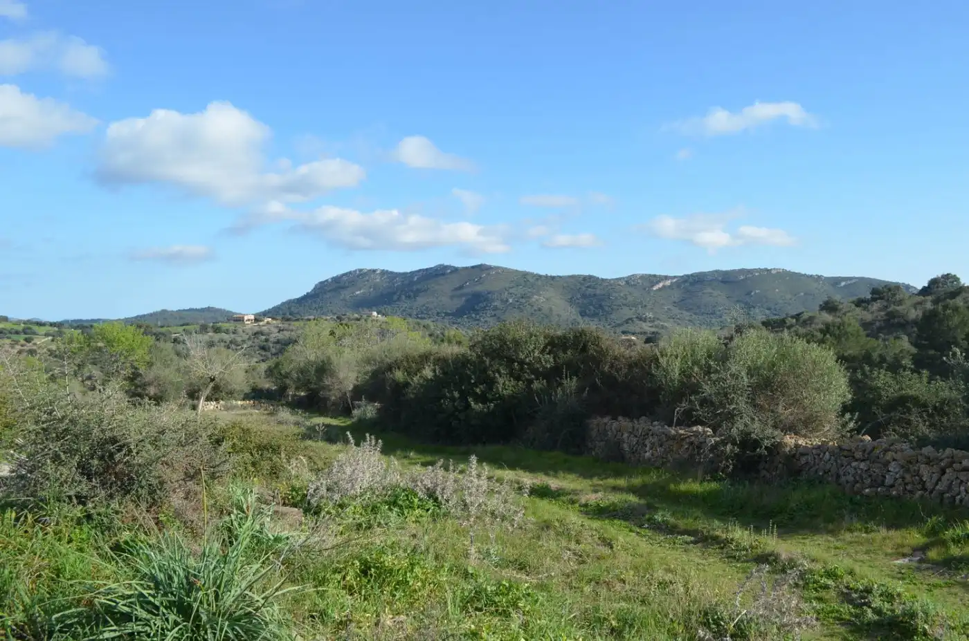 Casa rústica amb jardí en venda a Sant Llorenç des Cardassar, imagen 8