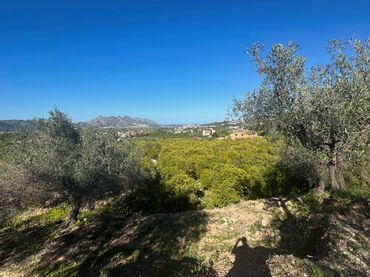 Terrenys i solars en venda a Orba
