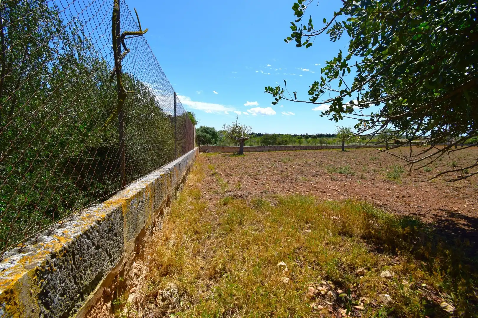 Residential land for sale in Santa Margalida Poble, imagen 15