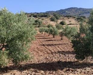 Finca rústica en venda en Alange