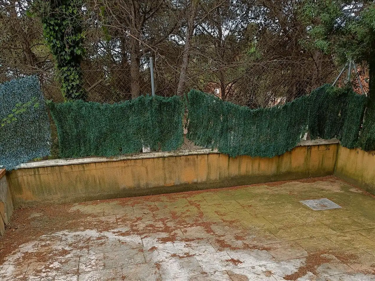 Jardí de Casa o xalet en venda en Cunit amb Terrassa i Piscina