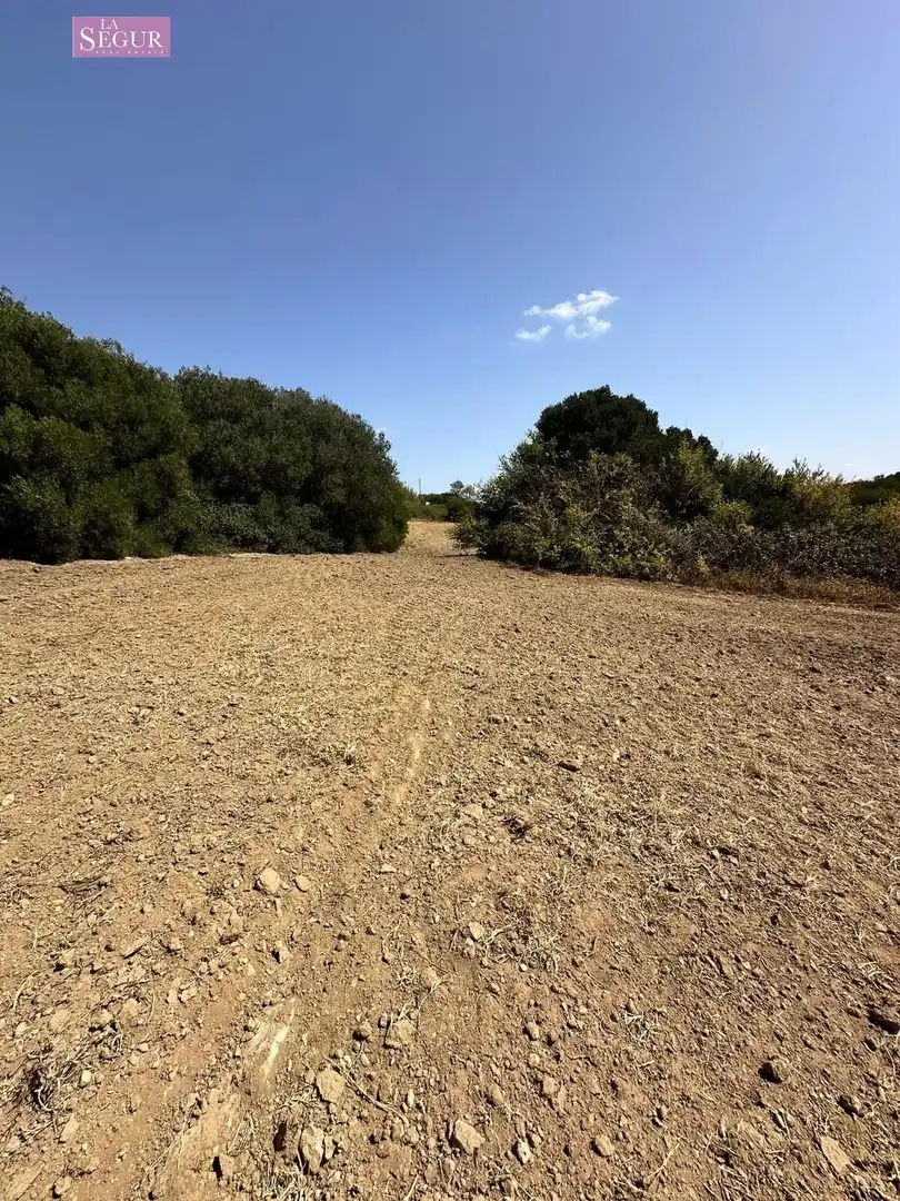 Rural land for sale in Conil, imagen 12