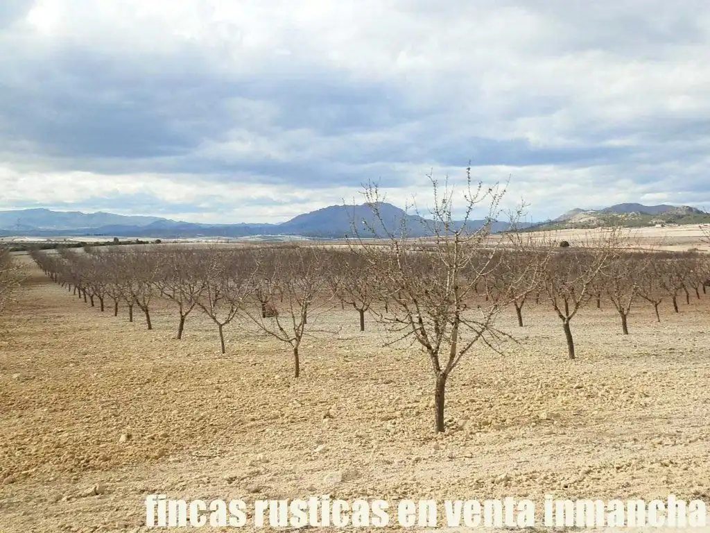 Rustikales Grundstück zum Verkauf in Cieza, imagen 18