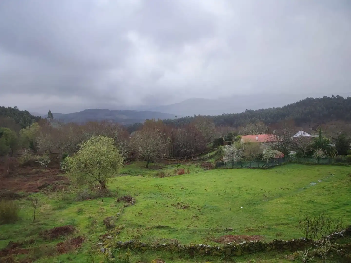 Terreno rustico in vendita a Ponte Caldelas, imagen 20