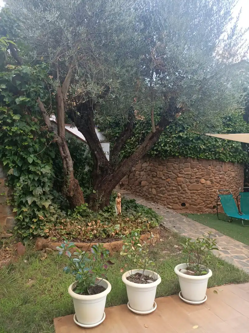 Jardí de Casa o xalet en venda en Piedrabuena amb Aire condicionat, Calefacció i Jardí privat