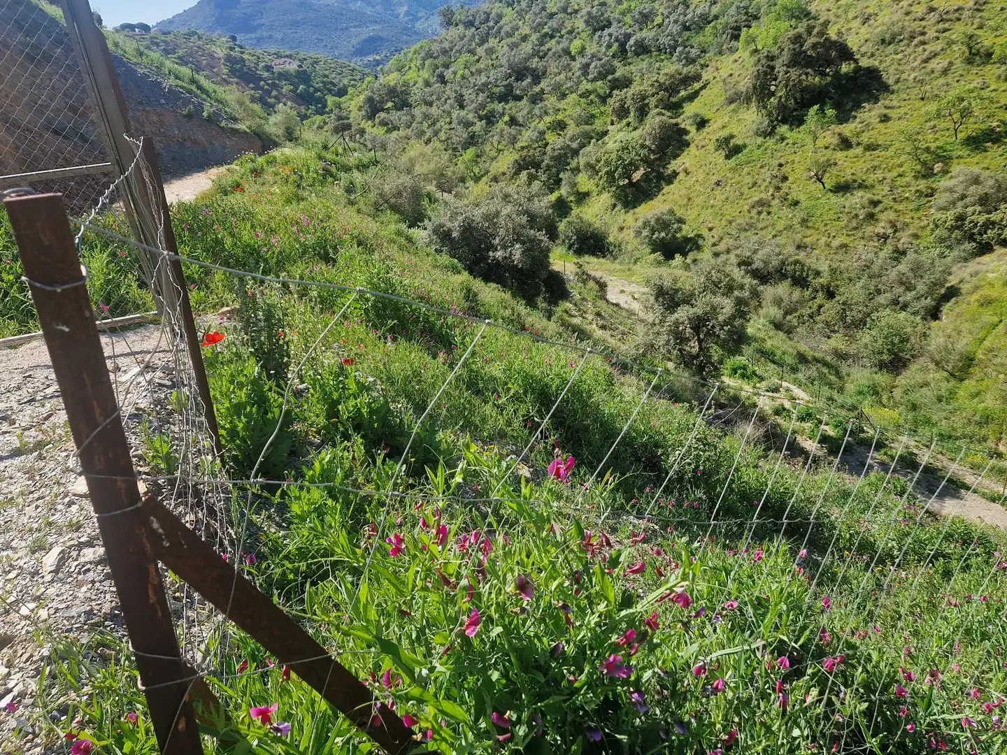 Terreni e lotti in vendita a Lugar AR PP-R7 RESID CARRASCO, imagen 11