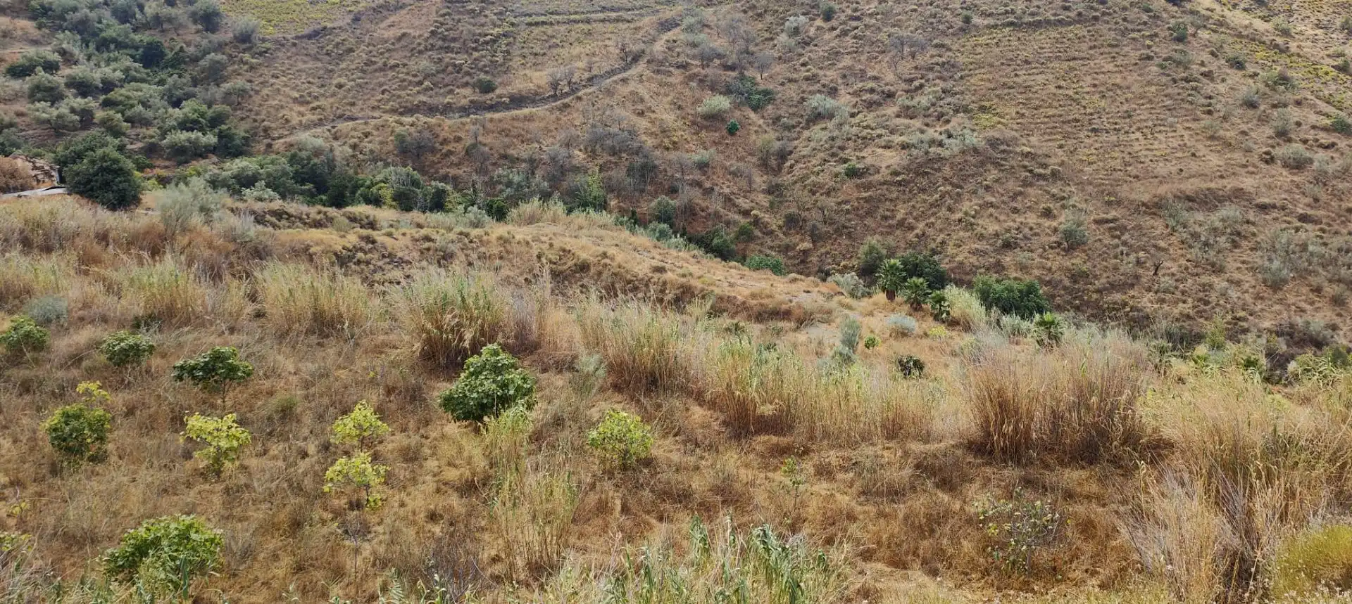 Terrenys i solars en venda a Canillas de Aceituno