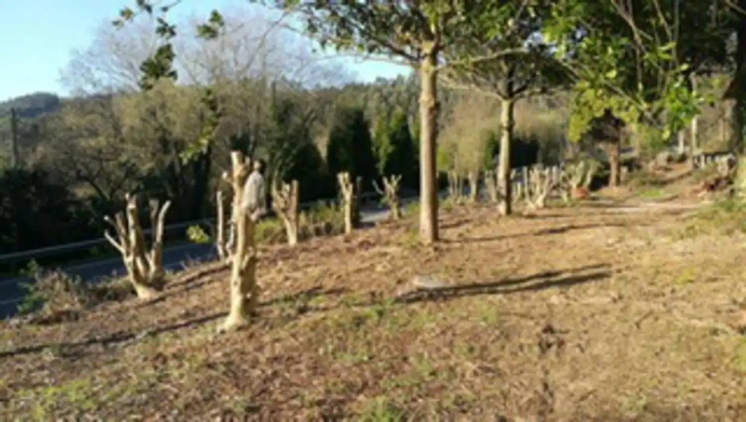 Country homes for sale in Ortigueira  with Private garden, Terrace and Storage room