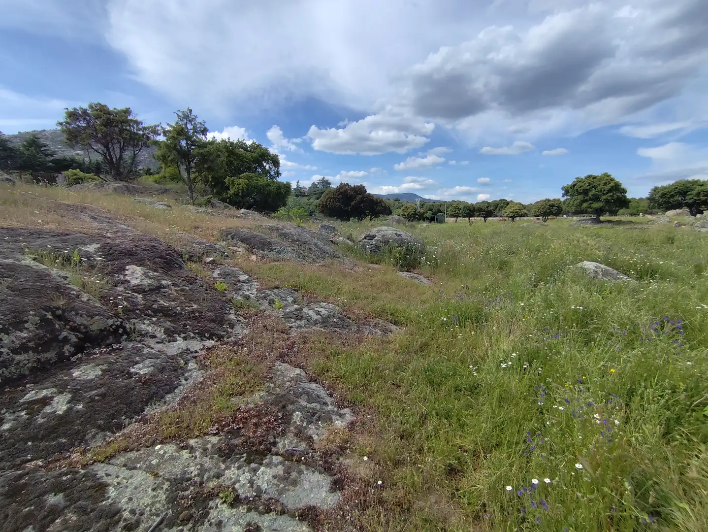 Terreno industrial en venta en Zarzalejo