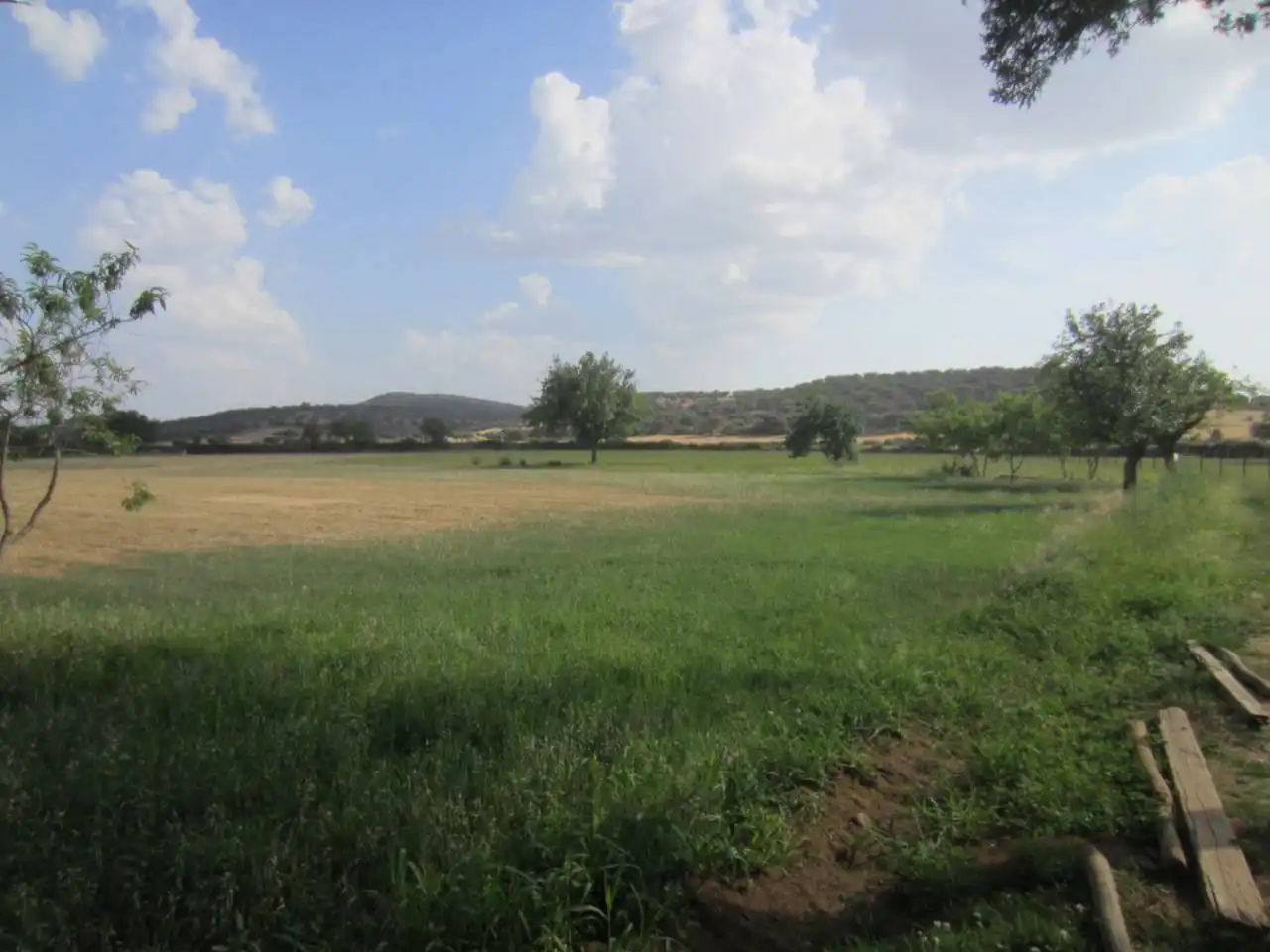 Terreno rustico in vendita a Calle RONDA DEL MEDIODIA, imagen 15