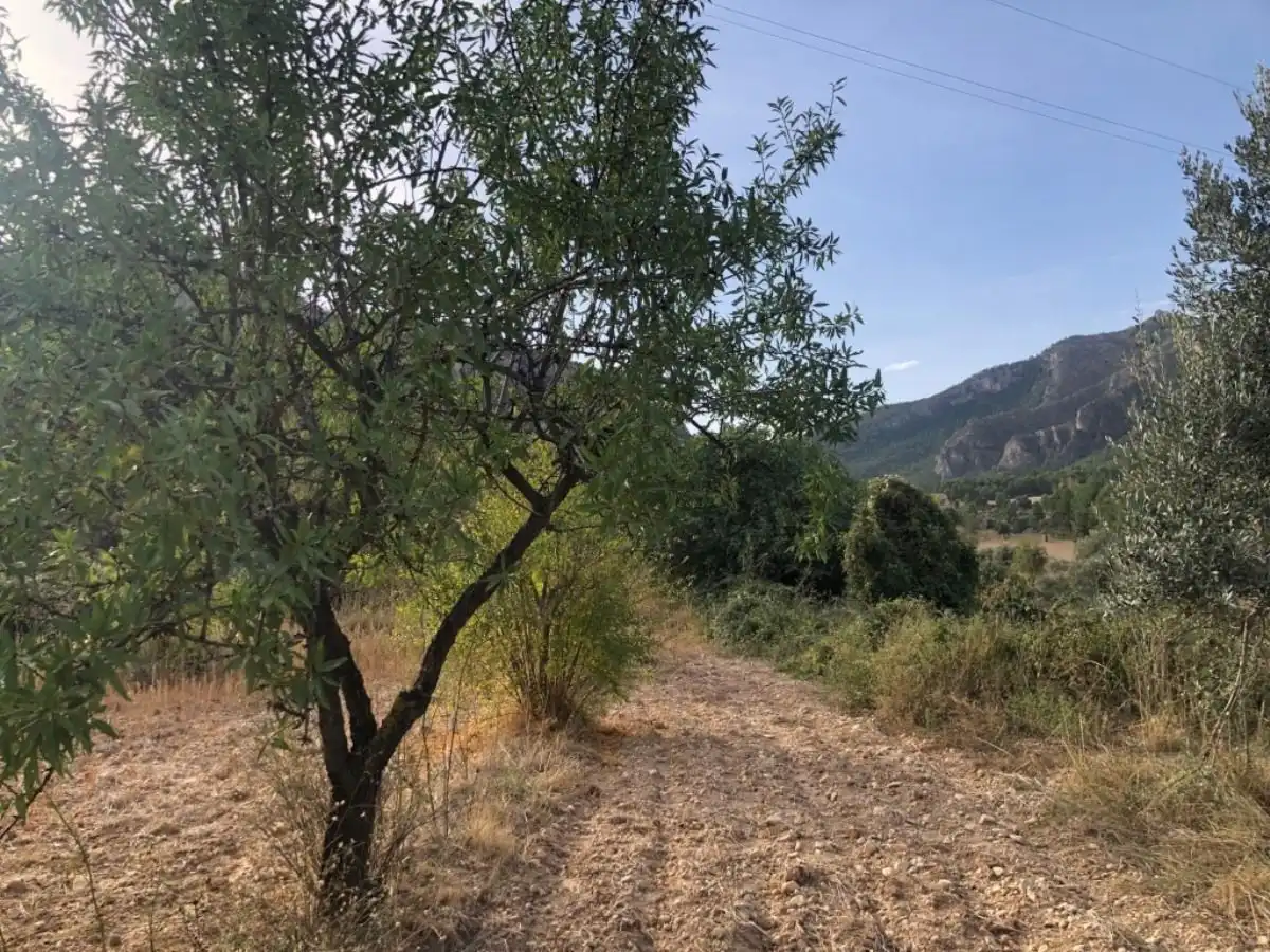 Finca rústica en venda en Valderrobres