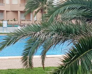 Swimming pool of Planta baja for sale in La Manga del Mar Menor  with Air Conditioner