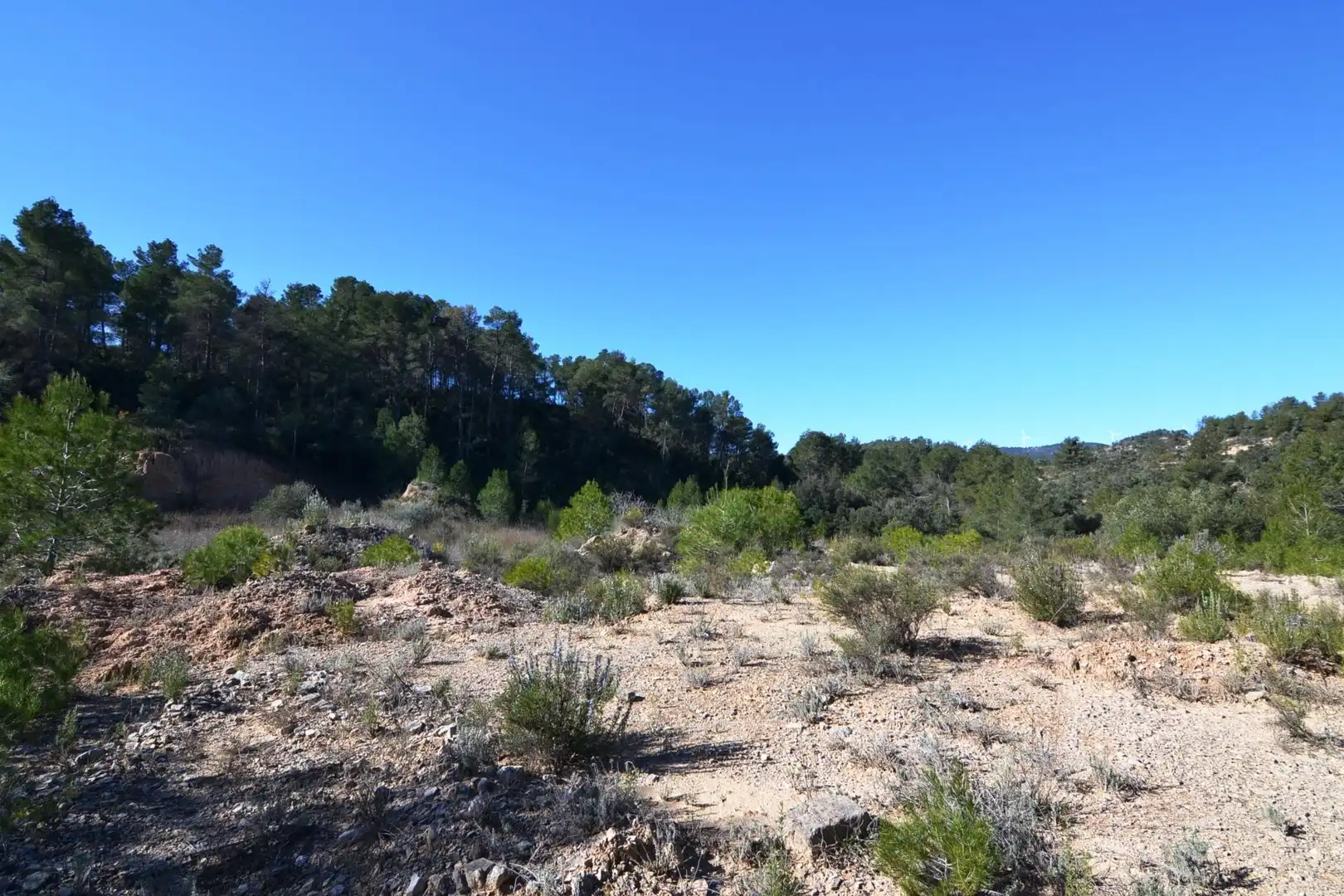Rural land for sale in Ascó, imagen 19