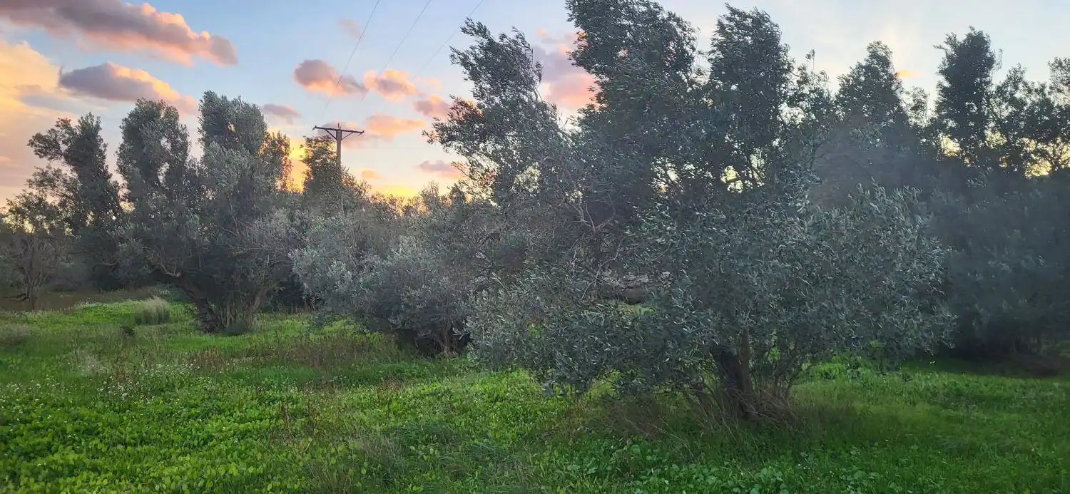 Casa rustica in vendita a Garroferets, imagen 7