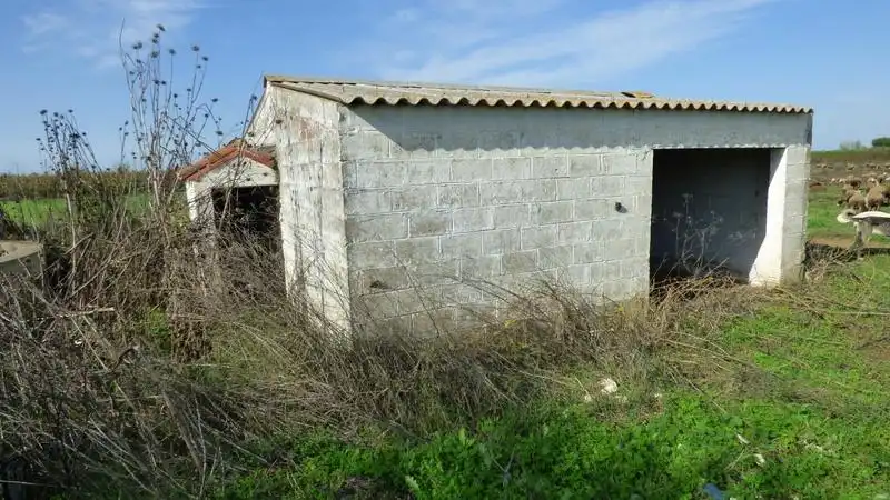 Nave industrial en venta en Puebla de la Calzada
