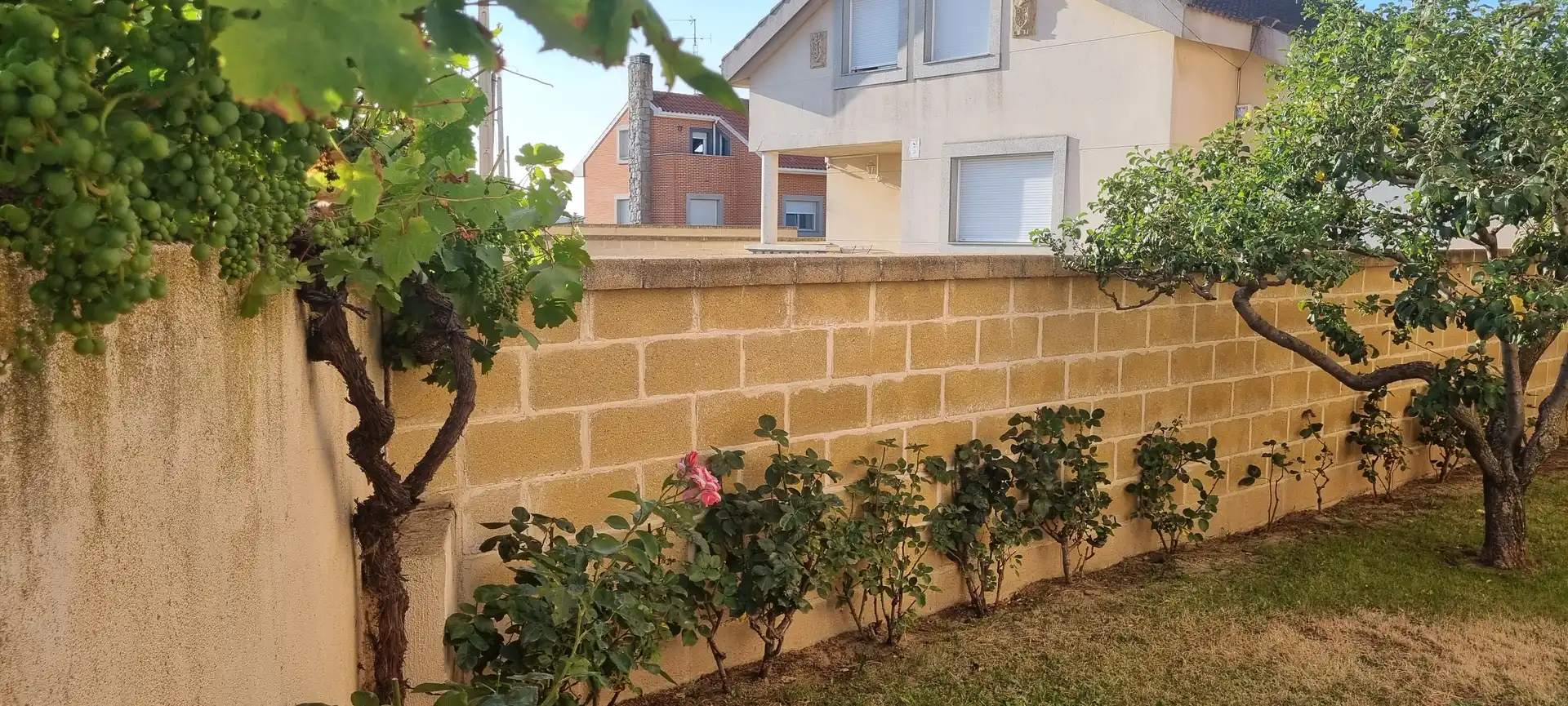 Haus oder Chalet zum Verkauf in Calvarrasa de Abajo, Salamanca